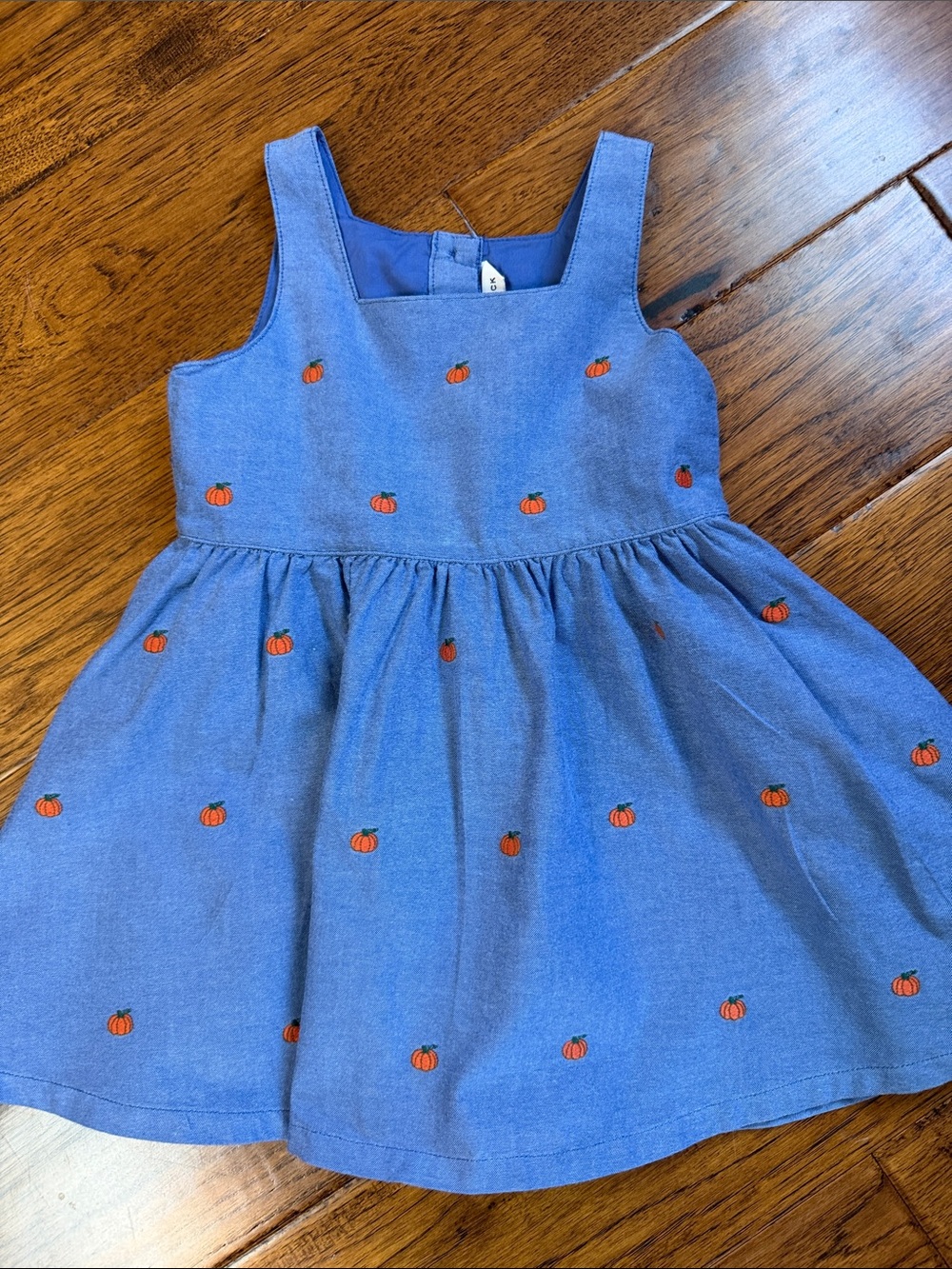 Blue Kids Pumpkin Embroidered Sundress